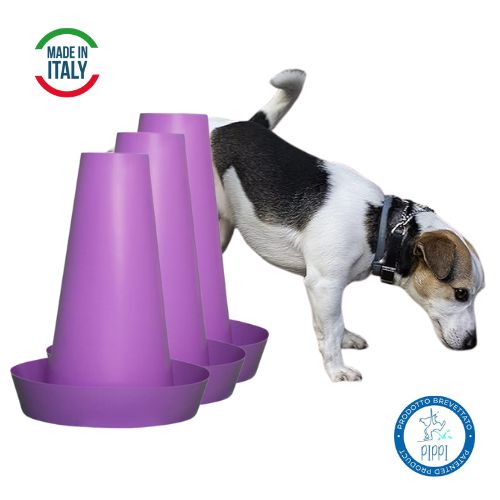 Promo 3 PIPPI por €70